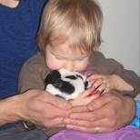 Baby kissing havanese puppy